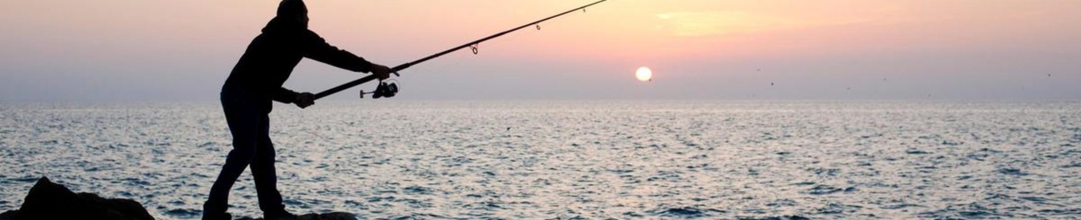 ULTIMATE SPORT FISHING BLOG